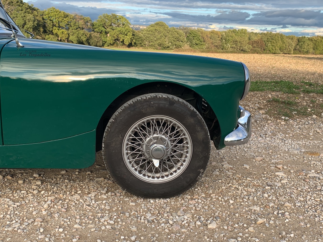 Austin-Healey Sprite