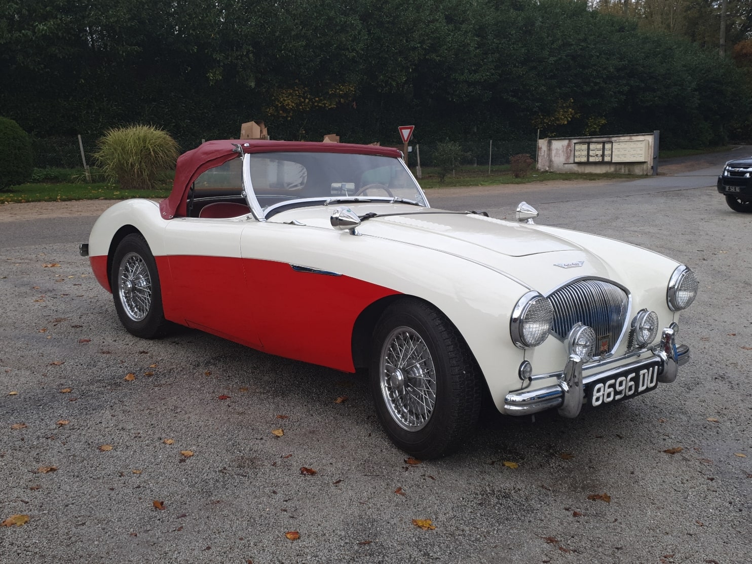 Austin-Healey 100 BN1