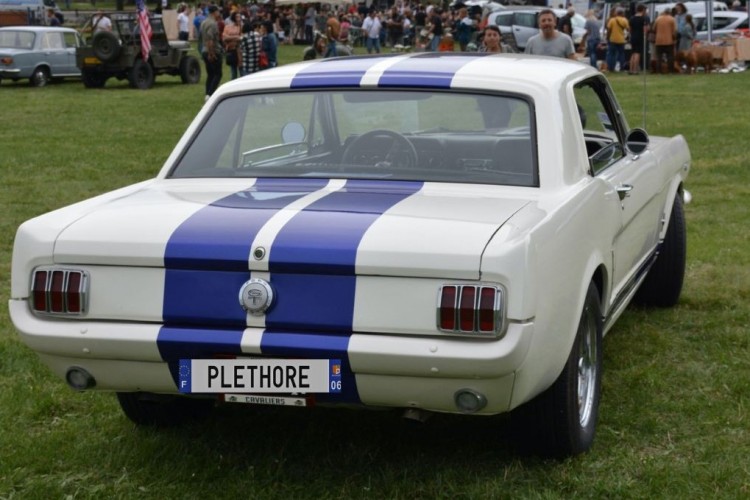 Ford Mustang Pony 