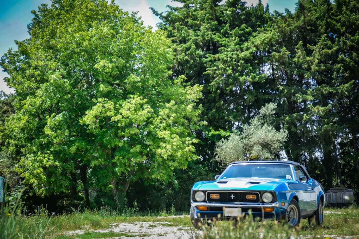 Ford Mustang Mach 1