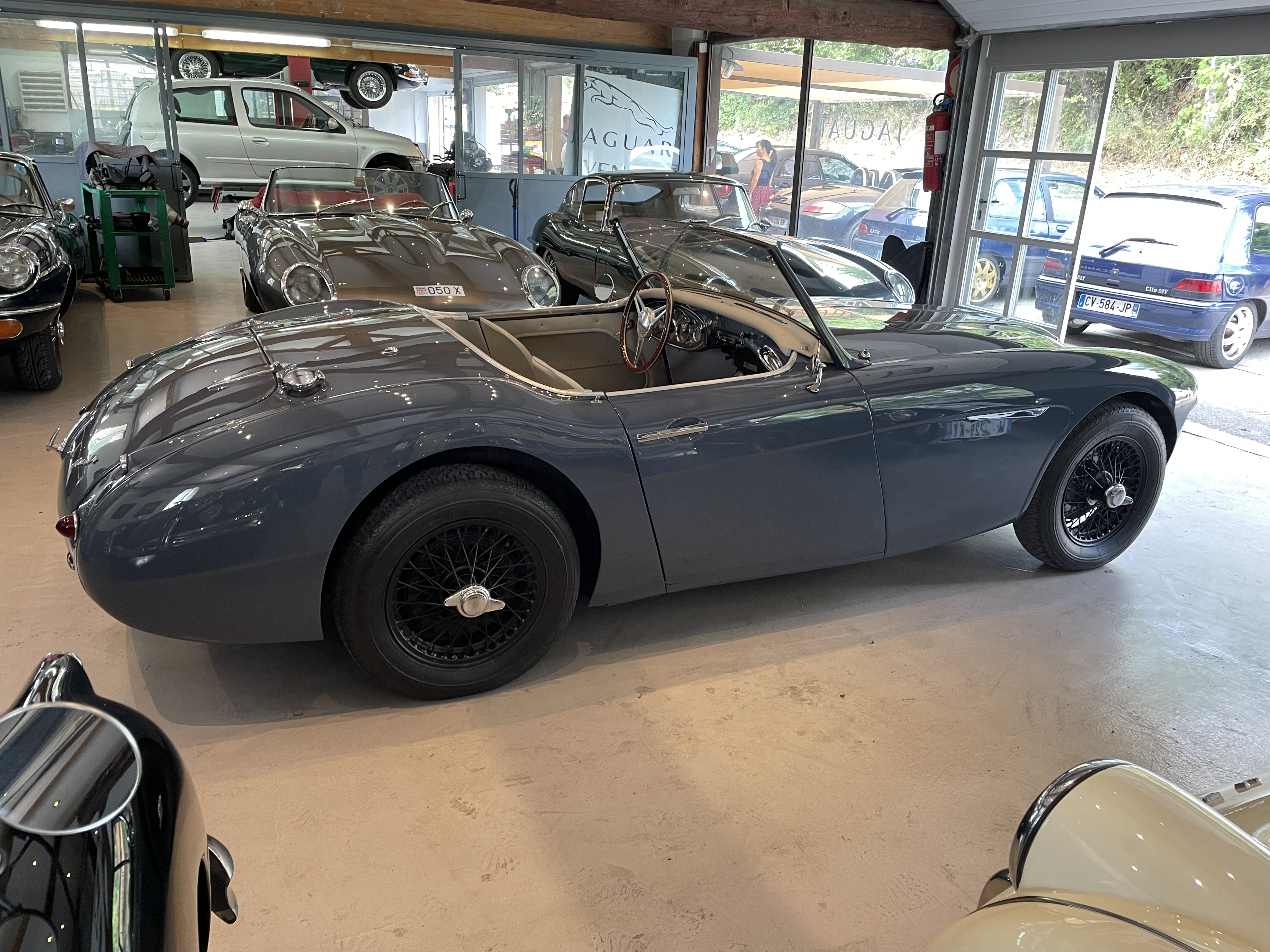 Austin Healey 100/6