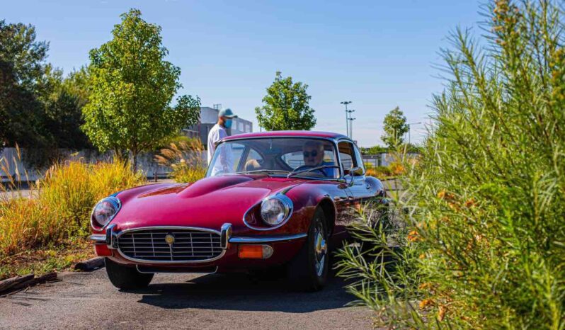 Jaguar Type E Série