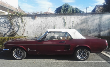 Ford Mustang