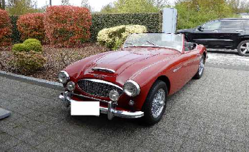 Austin Healey cabriolet