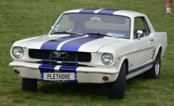 Ford Mustang Pony 