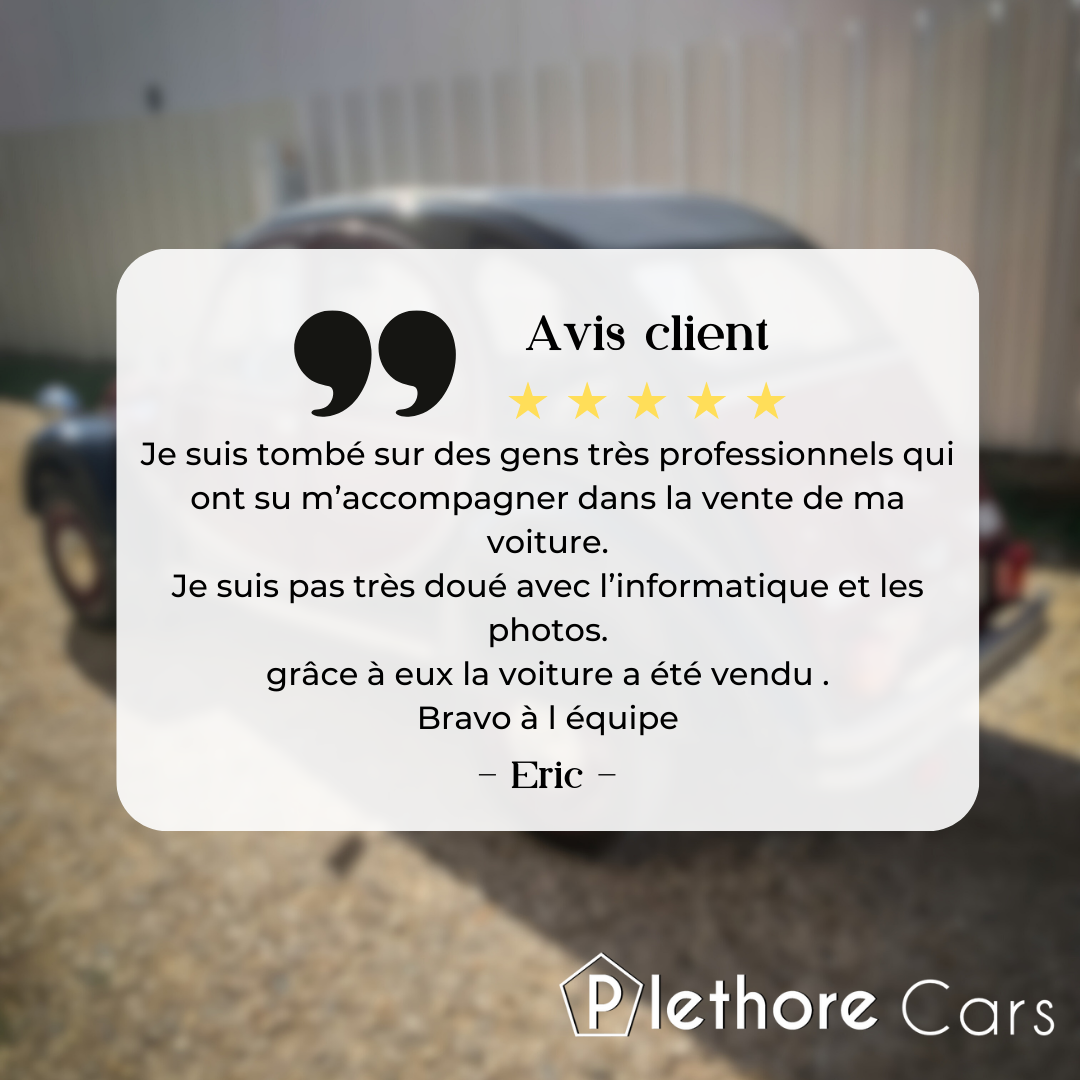 Avis google sur plethore.fr 1